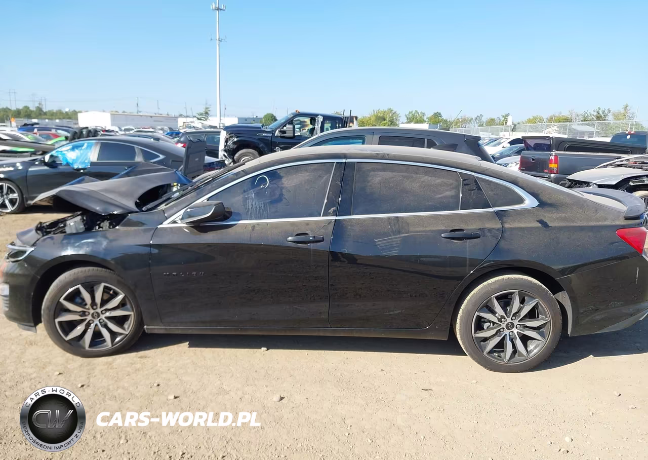 2024 Chevrolet Malibu Fwd Rs VIN:1G1ZG5ST2RF135278 - 13