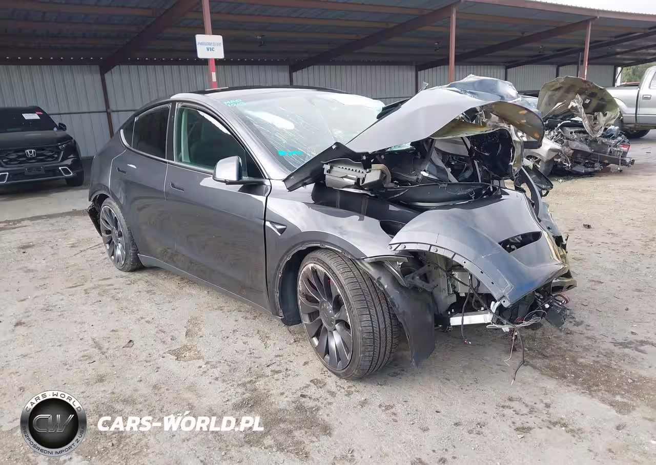 2024 Tesla Model Y Performance Dual Motor All-Wheel Drive