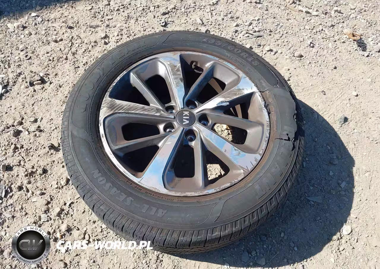 2019 Kia Sorento 3.3L Ex VIN:5XYPH4A5XKG515514 - 12
