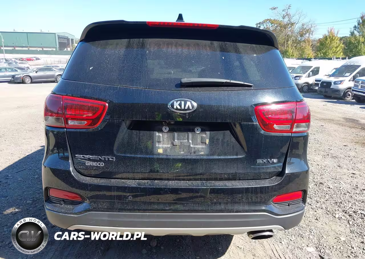 2019 Kia Sorento 3.3L Ex VIN:5XYPH4A5XKG515514 - 17