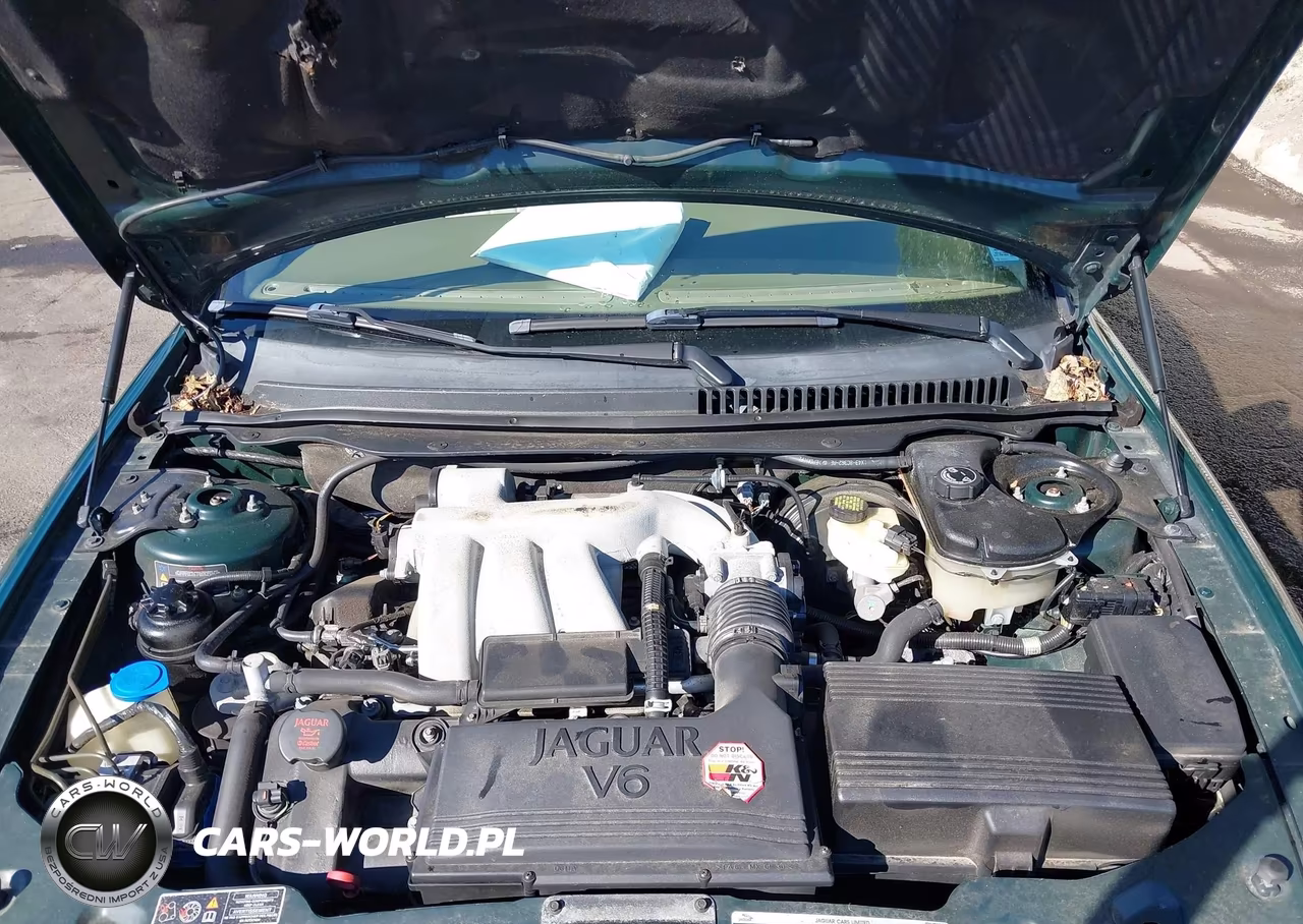 2004 Jaguar X-Type 3.0 VIN:SAJEA51C54WD57089 - 10