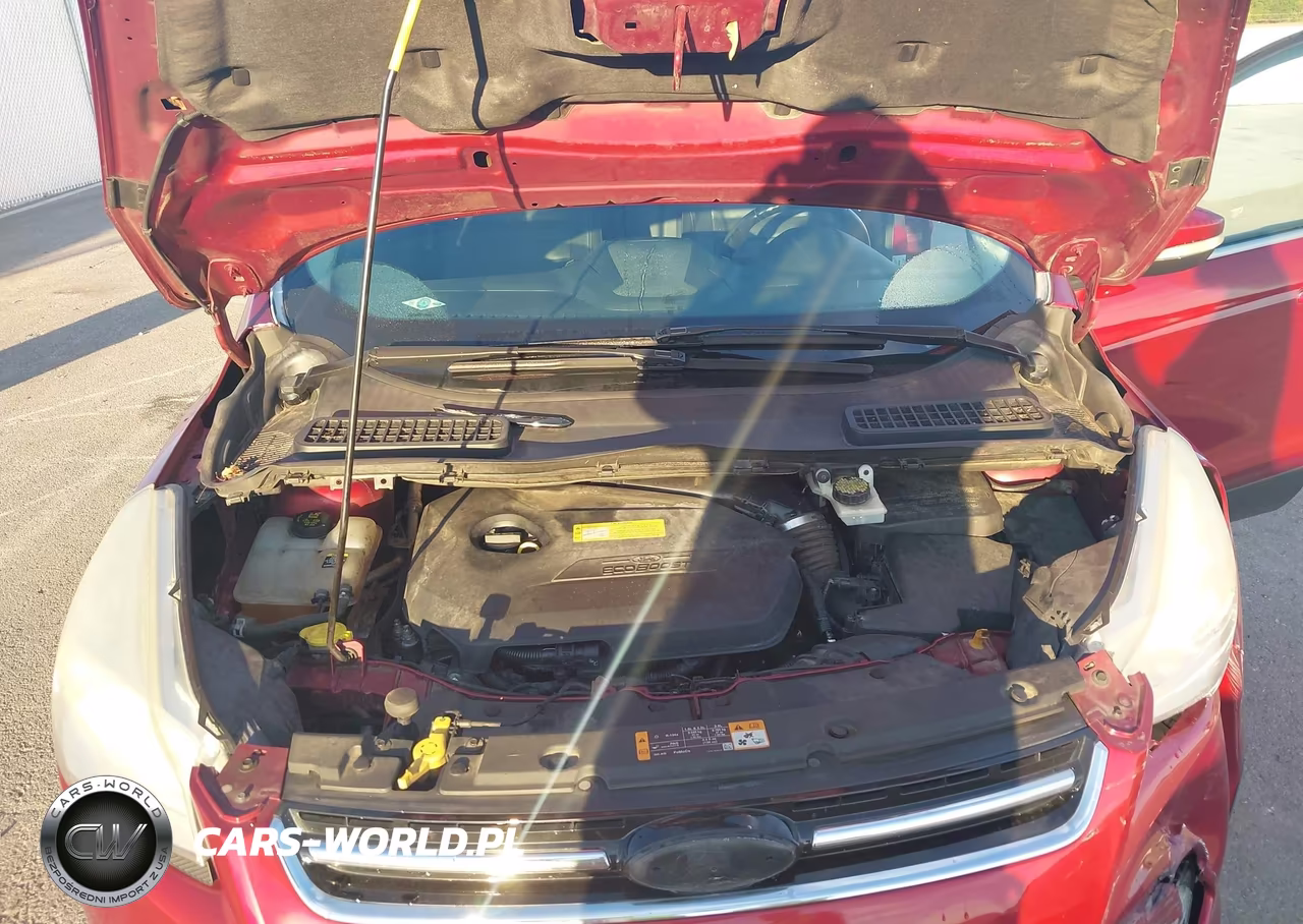 2013 Ford Escape Sel VIN:1FMCU0HX9DUD76967 - 10
