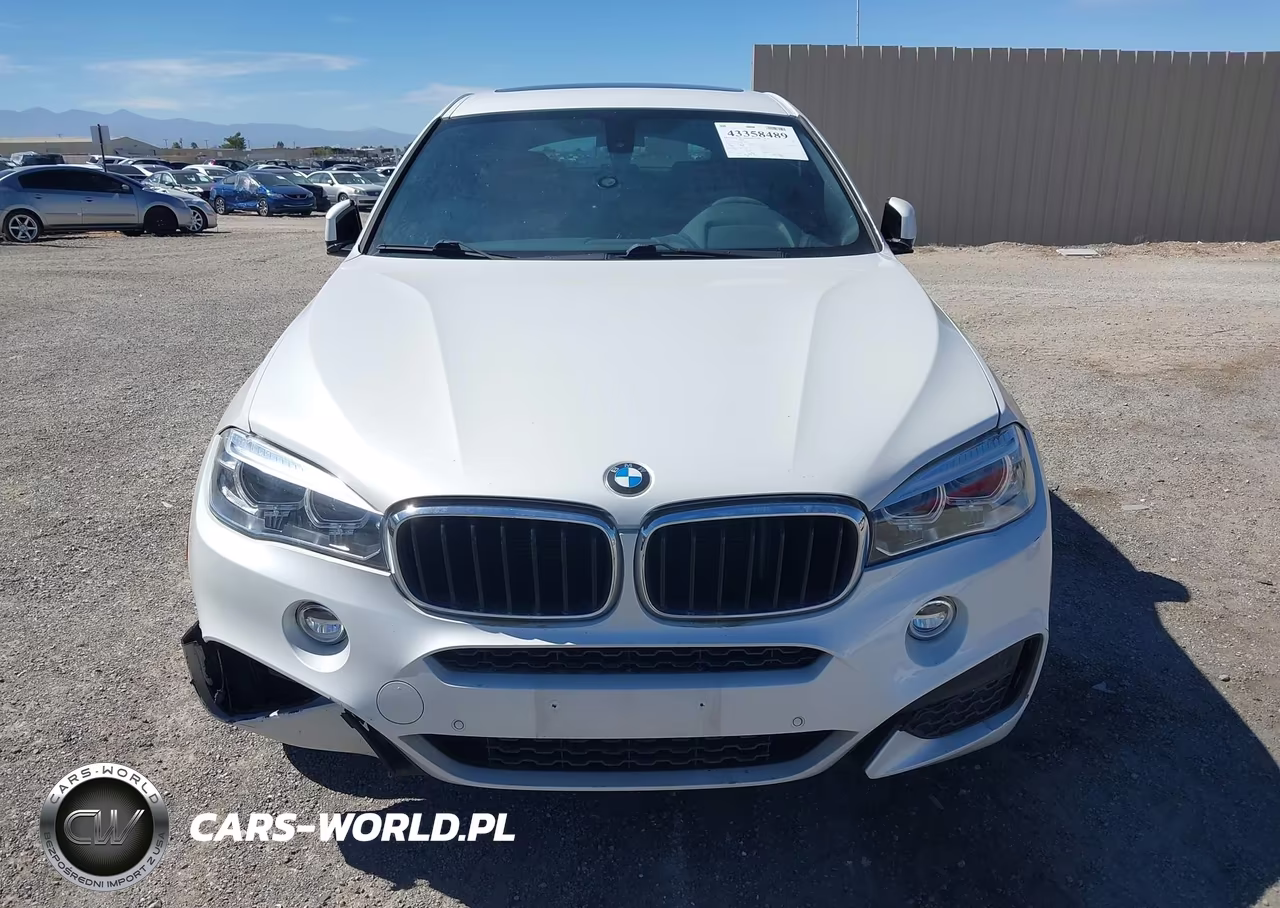 2018 BMW X6 Sdrive35I VIN:5UXKU0C5XJ0G92632 - 13