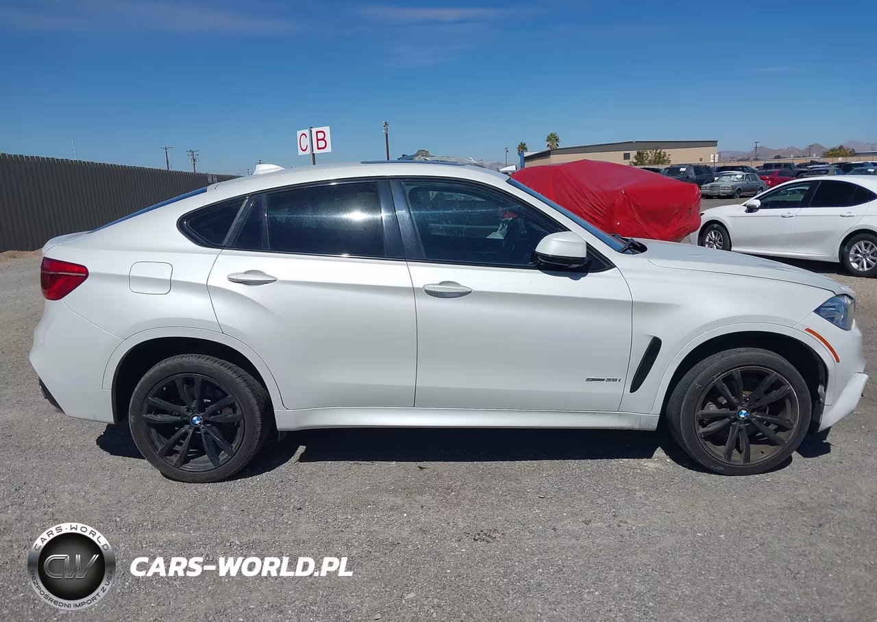 2018 BMW X6 Sdrive35I VIN:5UXKU0C5XJ0G92632 - 14