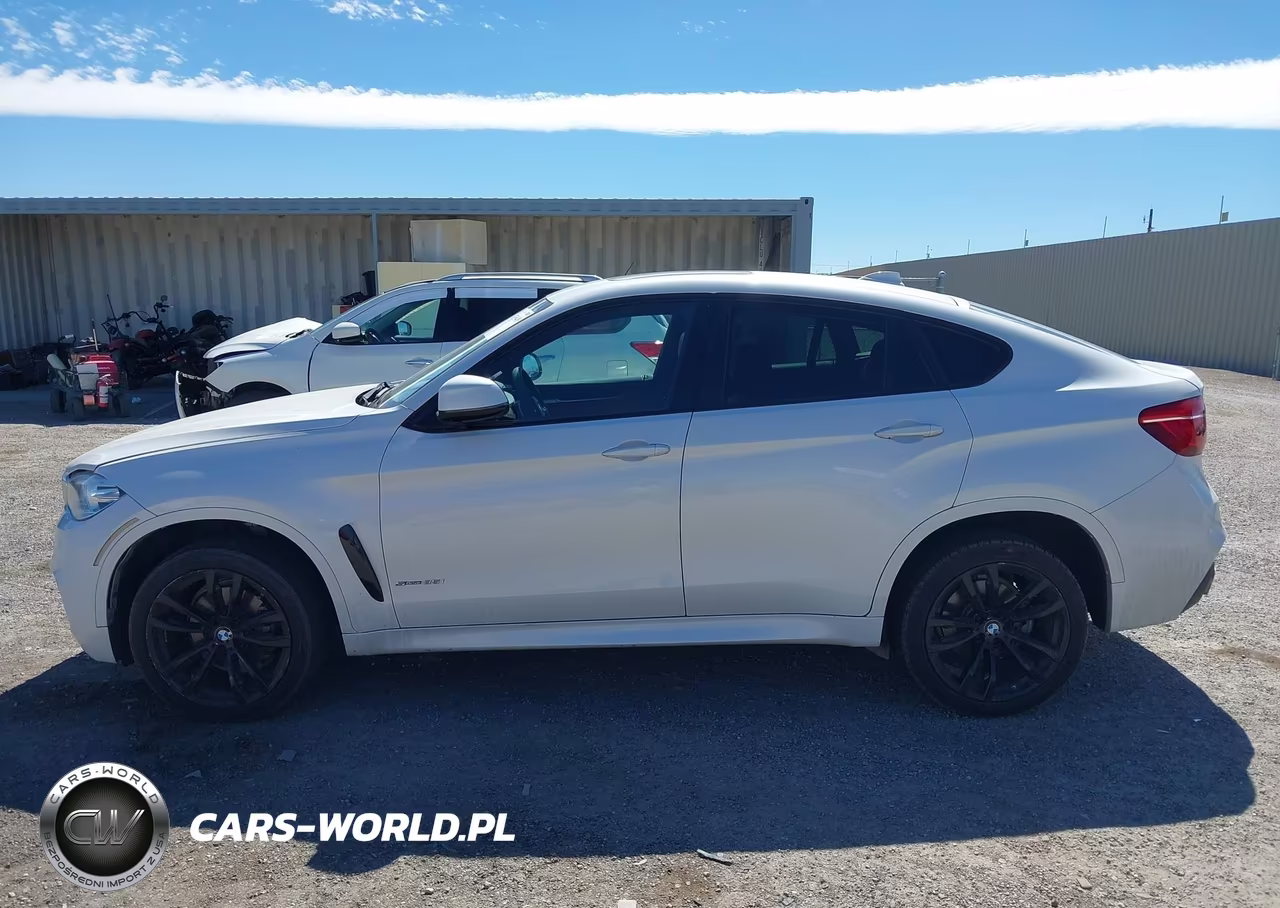 2018 BMW X6 Sdrive35I VIN:5UXKU0C5XJ0G92632 - 15