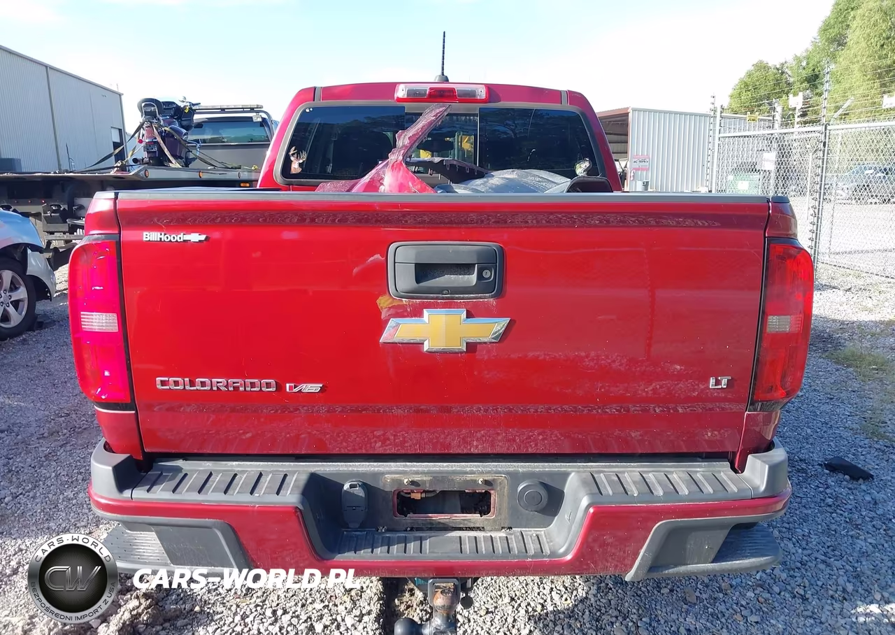2019 Chevrolet Colorado Lt VIN:1GCGSCENXK1224484 - 17
