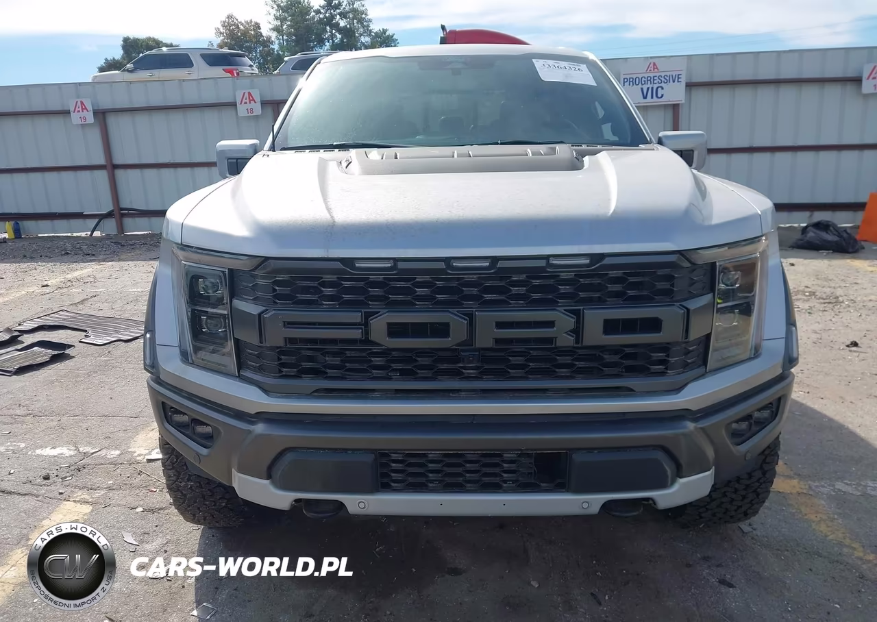 2022 Ford F-150 Raptor VIN:1FTFW1RG4NFB91683 - 12