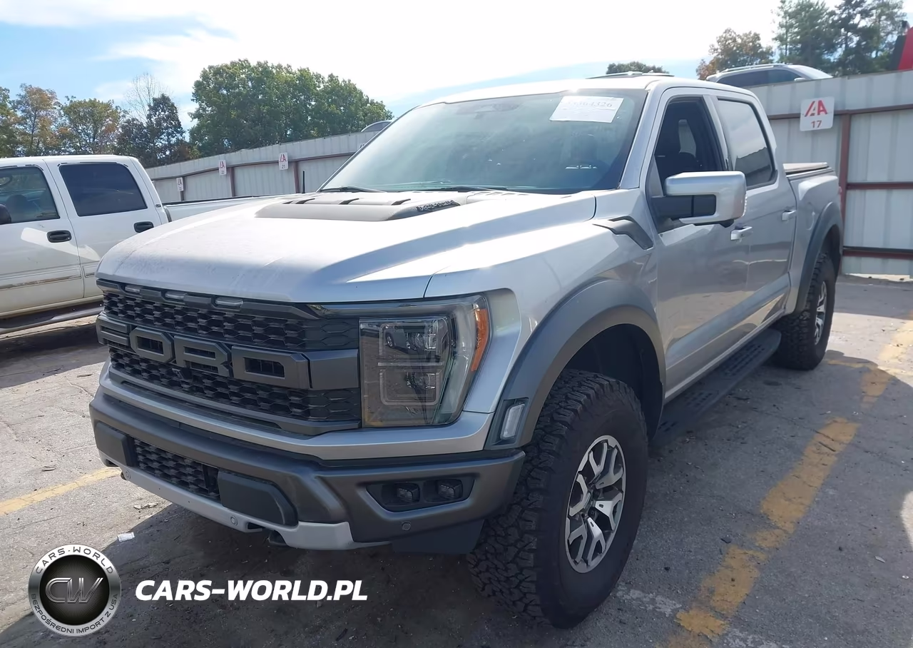 2022 Ford F-150 Raptor VIN:1FTFW1RG4NFB91683 - 2