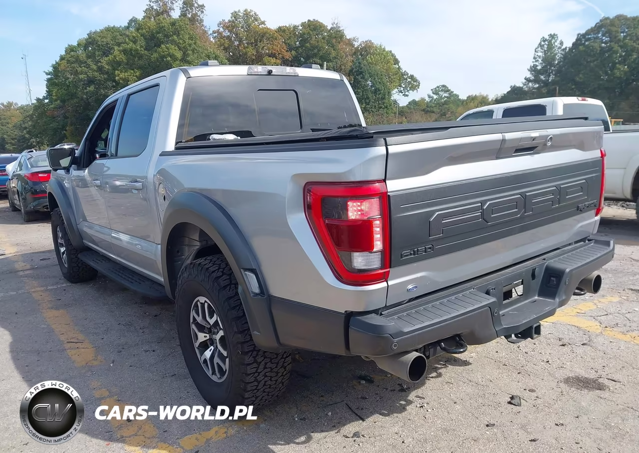 2022 Ford F-150 Raptor VIN:1FTFW1RG4NFB91683 - 3