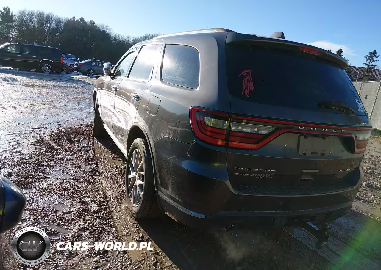 2014 Dodge Durango Citadel VIN:1C4SDJET3EC318867 - 3