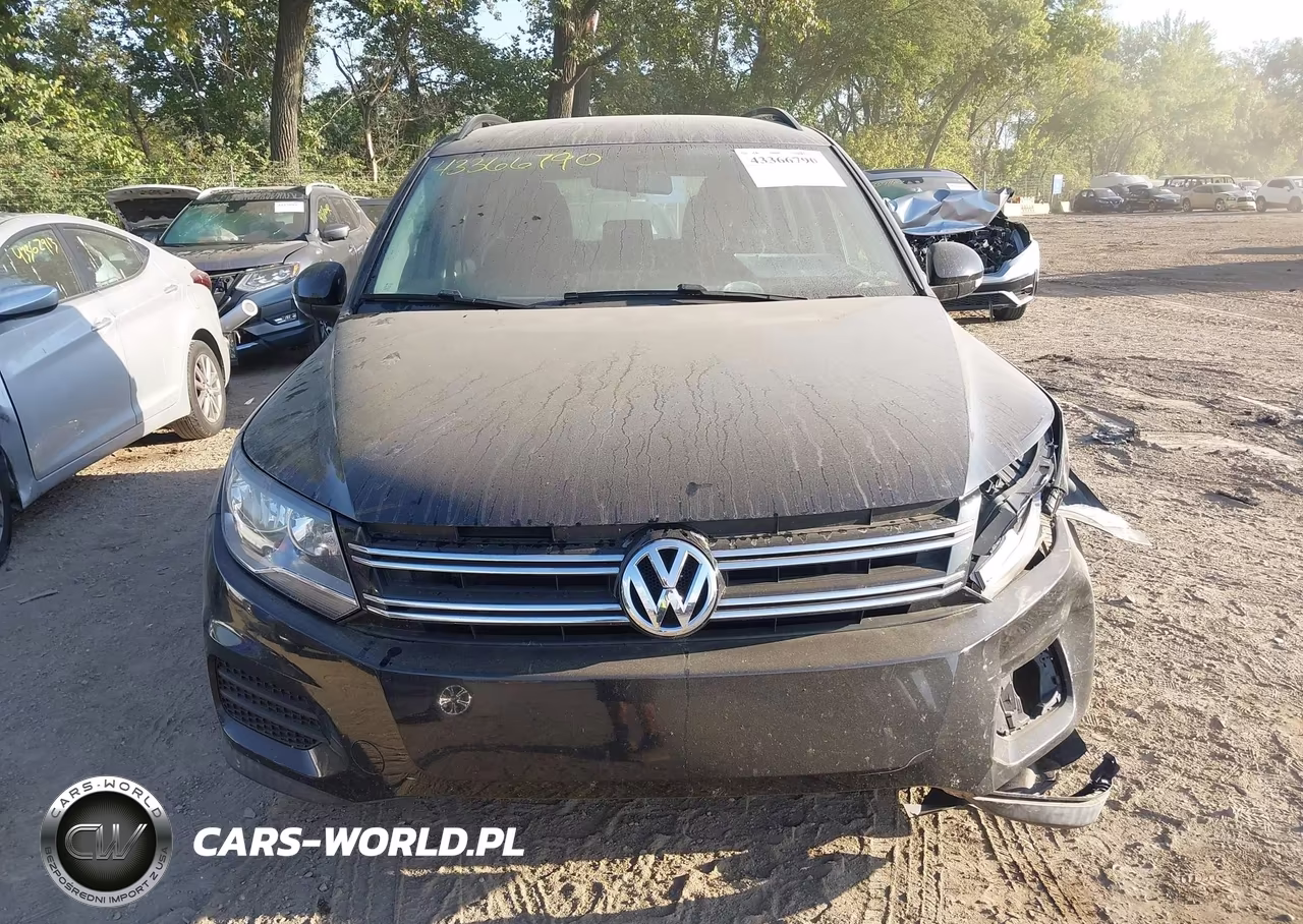 2015 Volkswagen Tiguan S VIN:WVGAV7AX7FW610991 - 12