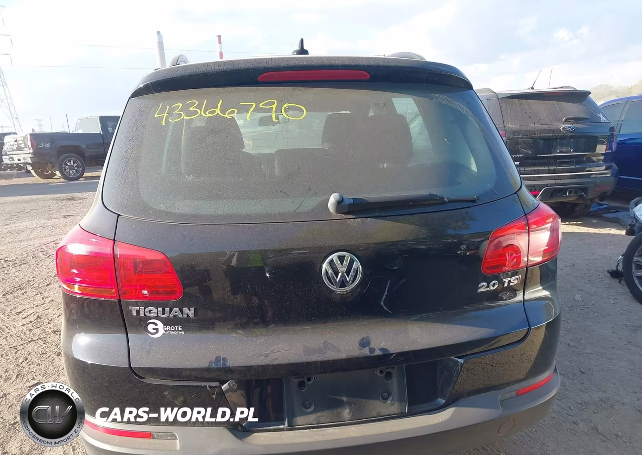 2015 Volkswagen Tiguan S VIN:WVGAV7AX7FW610991 - 16