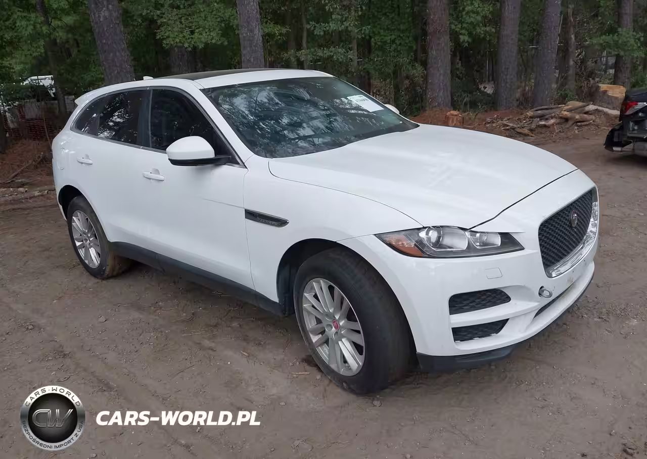 JAGUAR