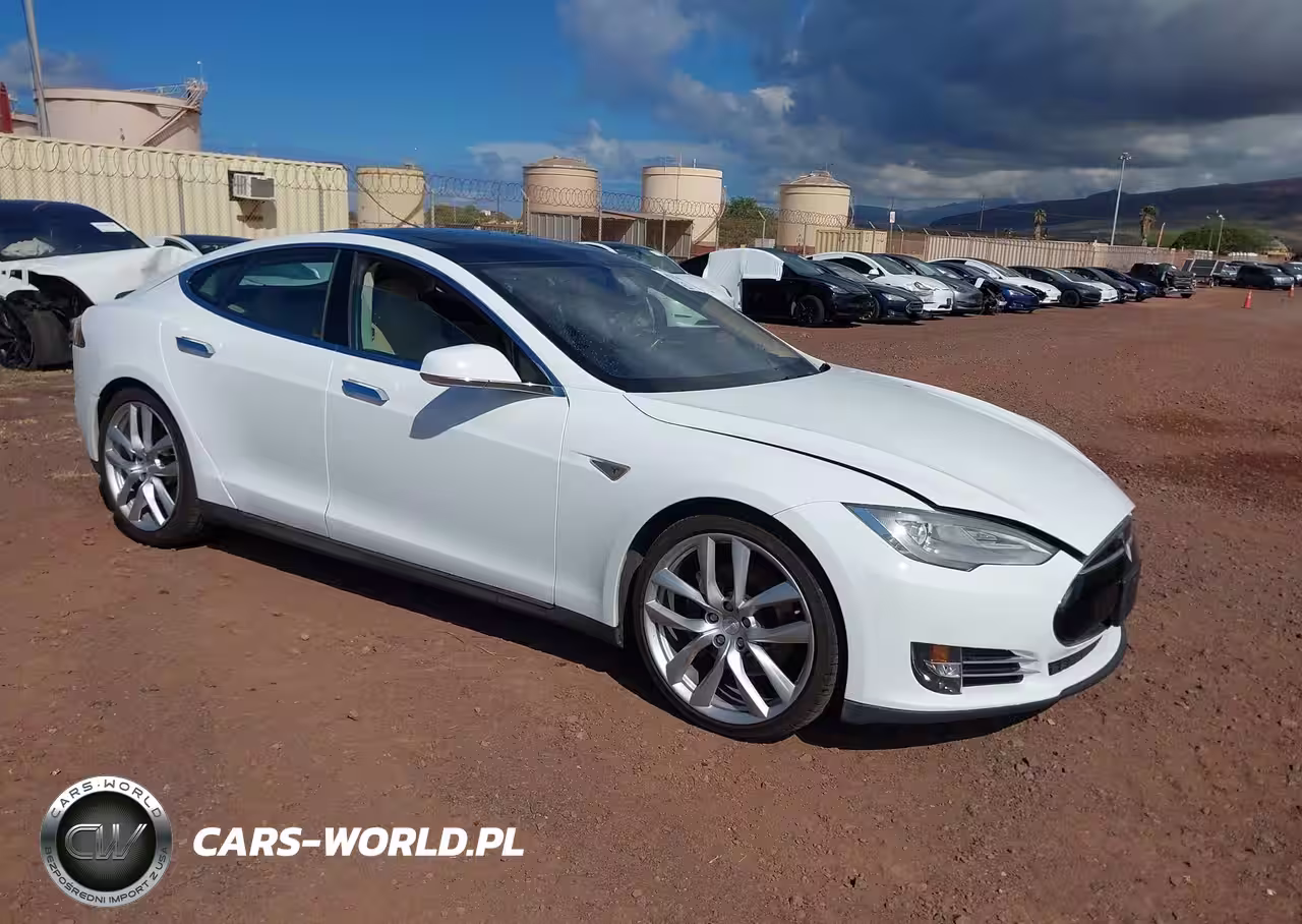 2013 Tesla Model S Performance – zdjęcie 1 z 20
