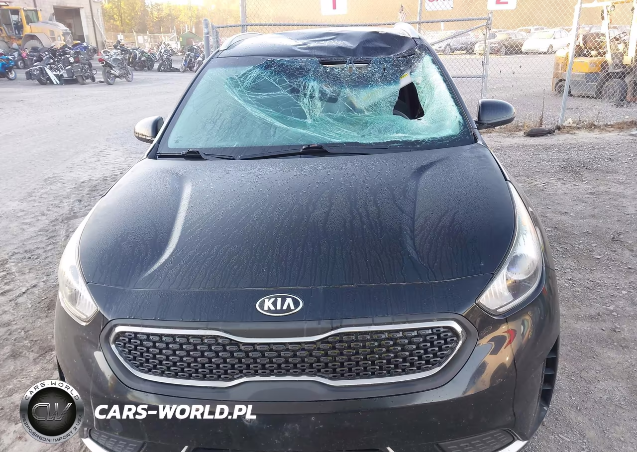2018 Kia Niro Lx VIN:KNDCB3LCXJ5188416 - 12