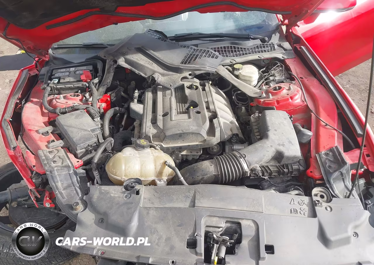 2019 Ford Mustang Ecoboost Premium VIN:1FATP8UH1K5205278 - 10