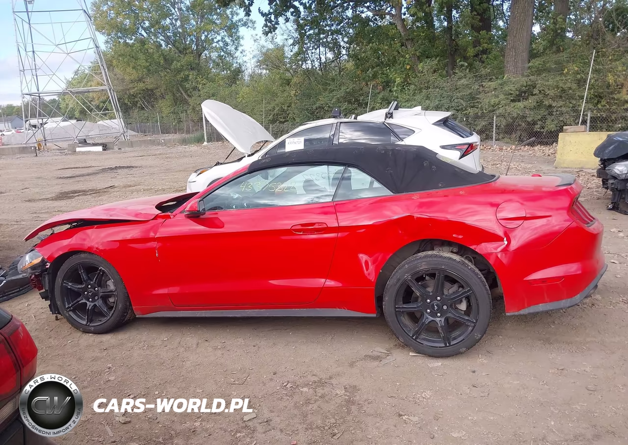 2019 Ford Mustang Ecoboost Premium VIN:1FATP8UH1K5205278 - 15