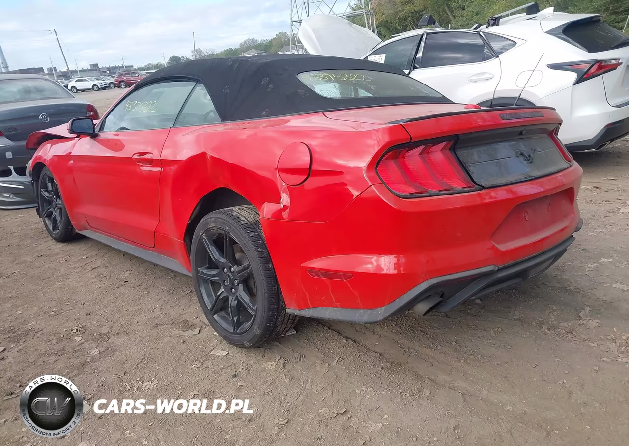 2019 Ford Mustang Ecoboost Premium VIN:1FATP8UH1K5205278 - 3