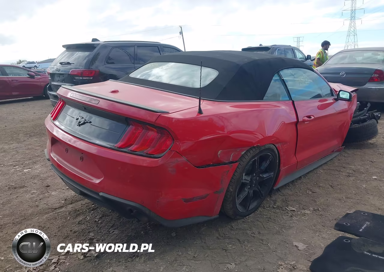 2019 Ford Mustang Ecoboost Premium VIN:1FATP8UH1K5205278 - 4