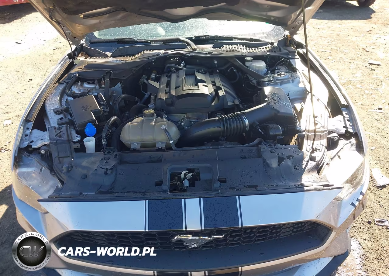 2020 Ford Mustang Ecoboost Premium VIN:1FATP8UH1L5184675 - 10