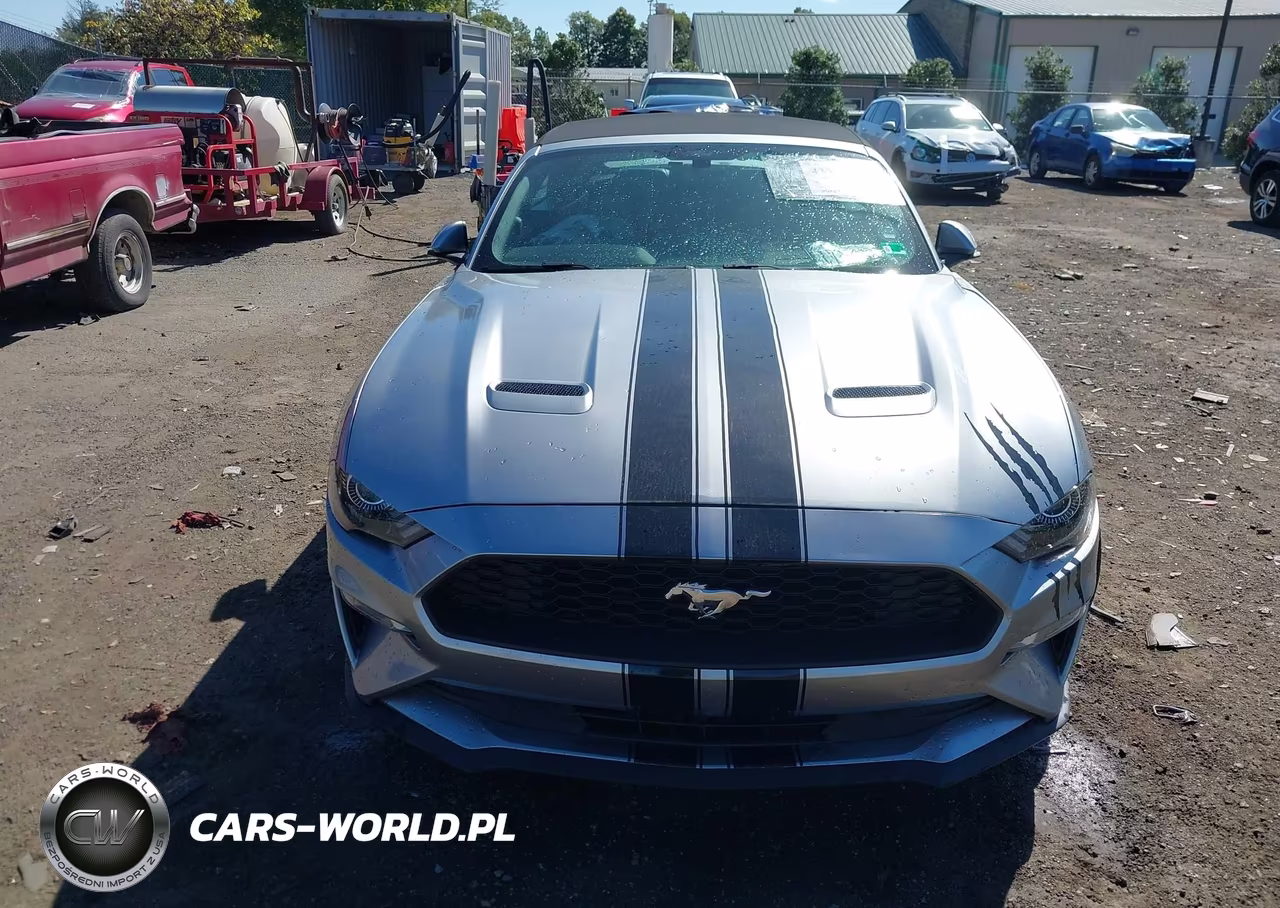 2020 Ford Mustang Ecoboost Premium VIN:1FATP8UH1L5184675 - 13