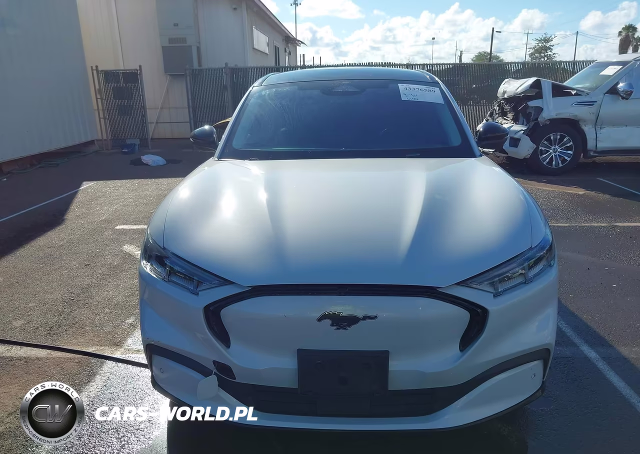 2021 Ford Mustang Mach-E Premium VIN:3FMTK3SU2MMA01948 - 12
