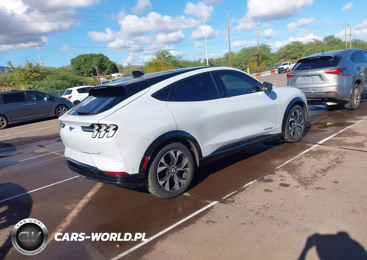 2021 Ford Mustang Mach-E Premium VIN:3FMTK3SU2MMA01948 - 4