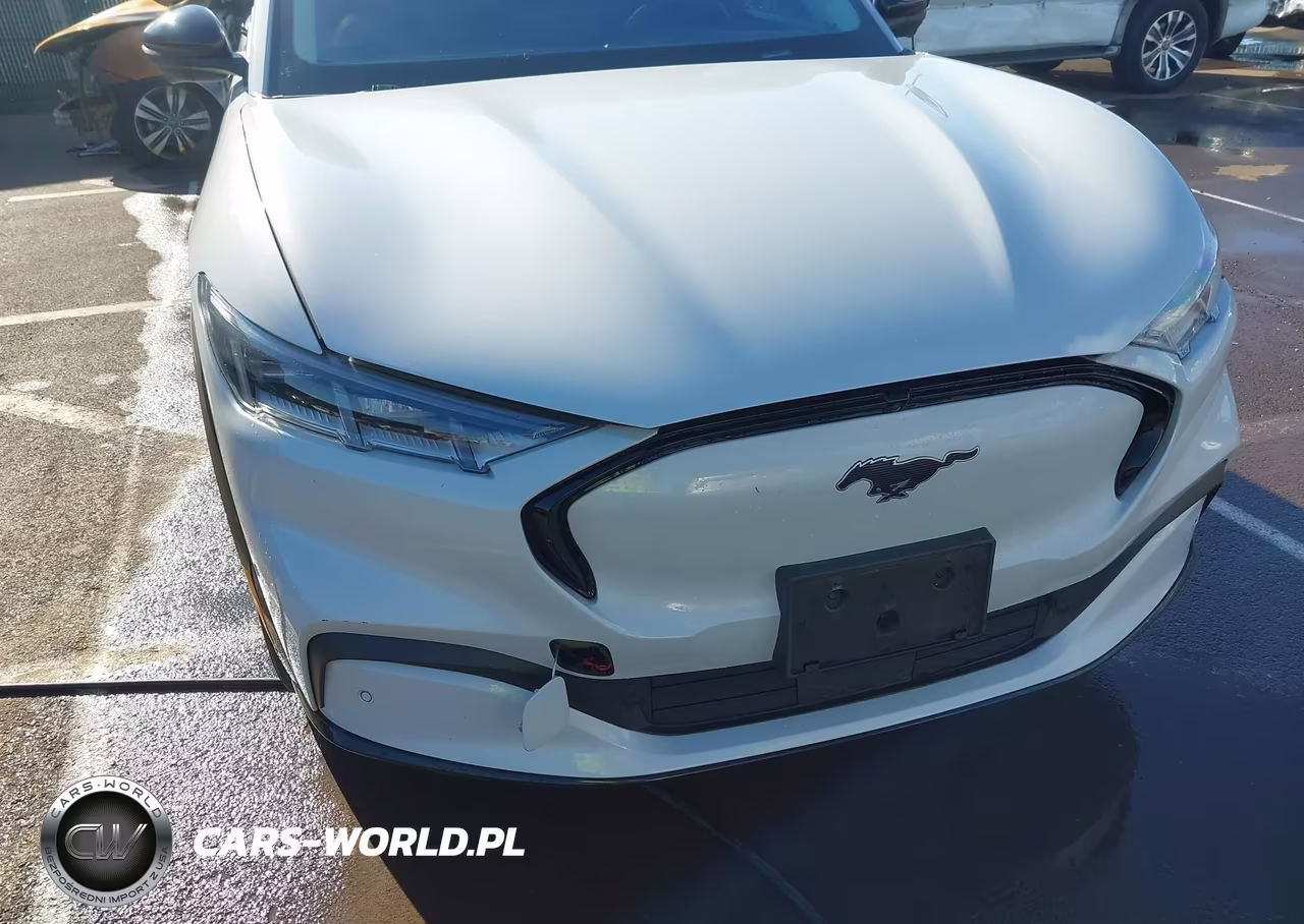 2021 Ford Mustang Mach-E Premium VIN:3FMTK3SU2MMA01948 - 6