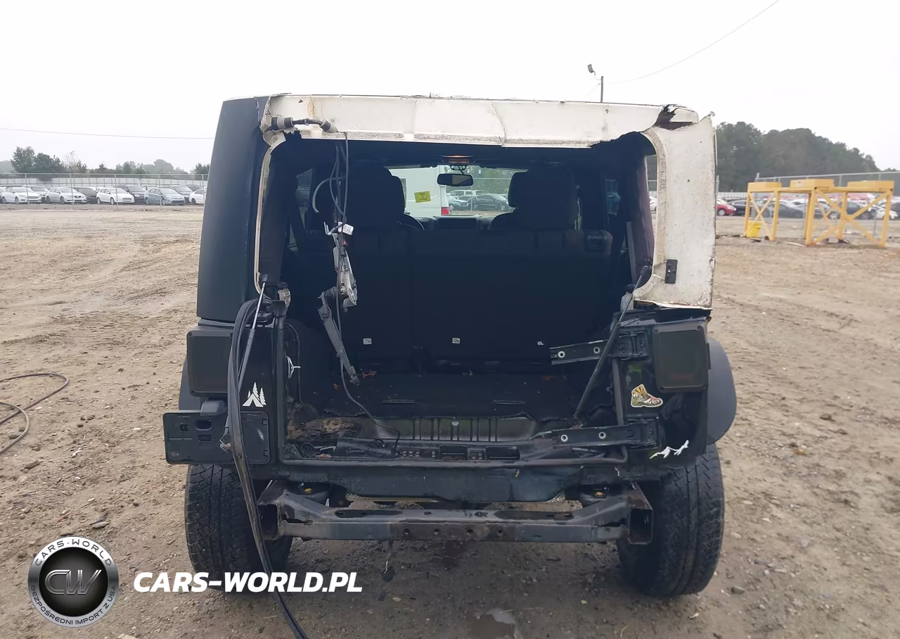 2016 Jeep Wrangler Unlimited Willys Wheeler VIN:1C4BJWDG9GL110229 - 6