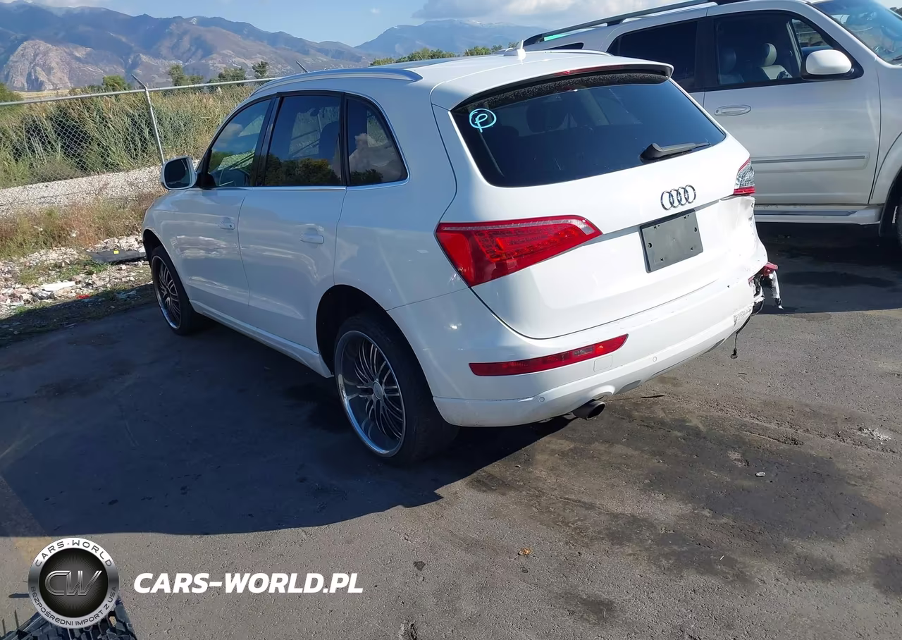 2010 Audi Q5 3.2 Premium VIN:WA1LKAFP9AA005365 - 3