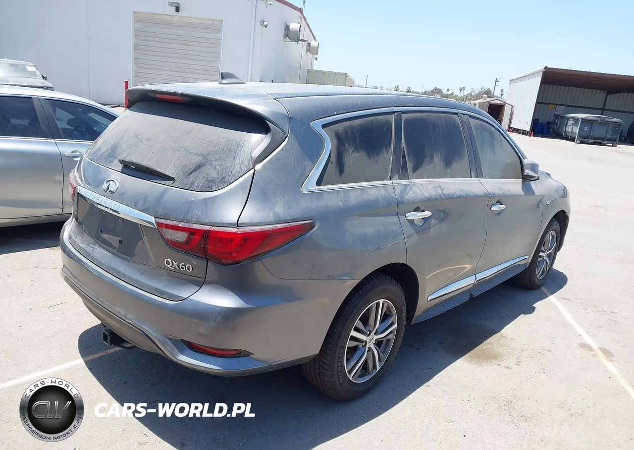 2020 Infiniti Qx60 Pure VIN:5N1DL0MN7LC514943 - 4