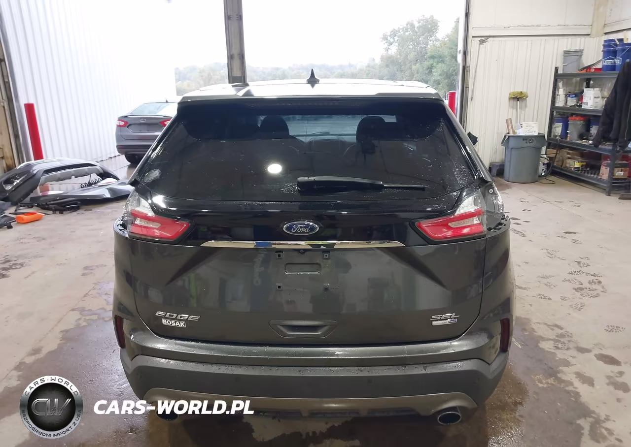 2019 Ford Edge Sel VIN:2FMPK4J90KBB60955 - 17