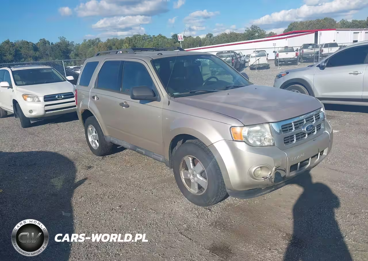 2011 Ford Escape Xlt