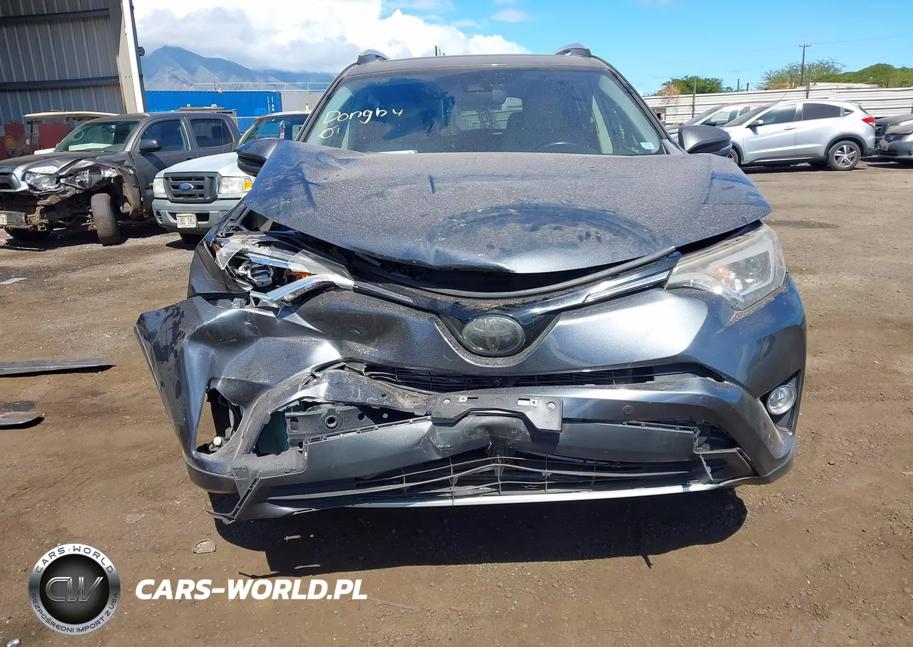 2016 Toyota Rav4 Limited VIN:JTMYFREV1GD089140 - 17
