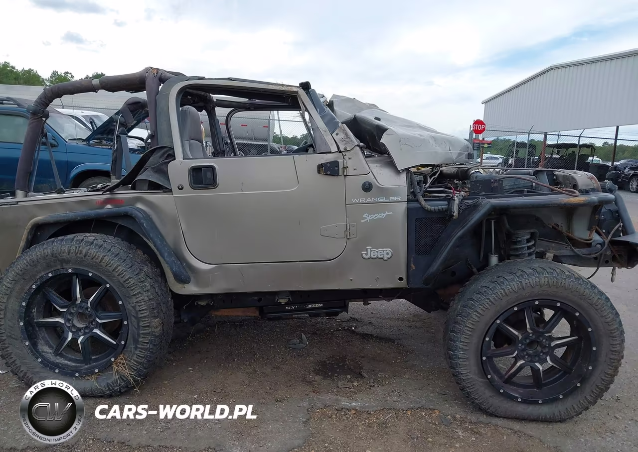 2002 Jeep Wrangler Sport VIN:1J4FA49S52P771545 - 13