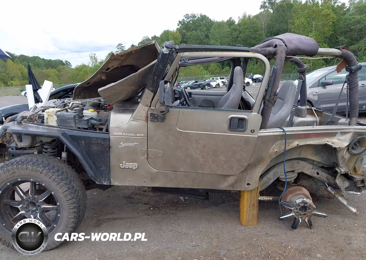 2002 Jeep Wrangler Sport VIN:1J4FA49S52P771545 - 14