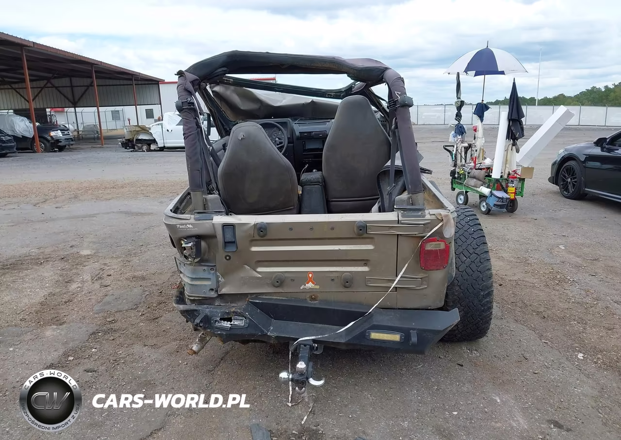 2002 Jeep Wrangler Sport VIN:1J4FA49S52P771545 - 16