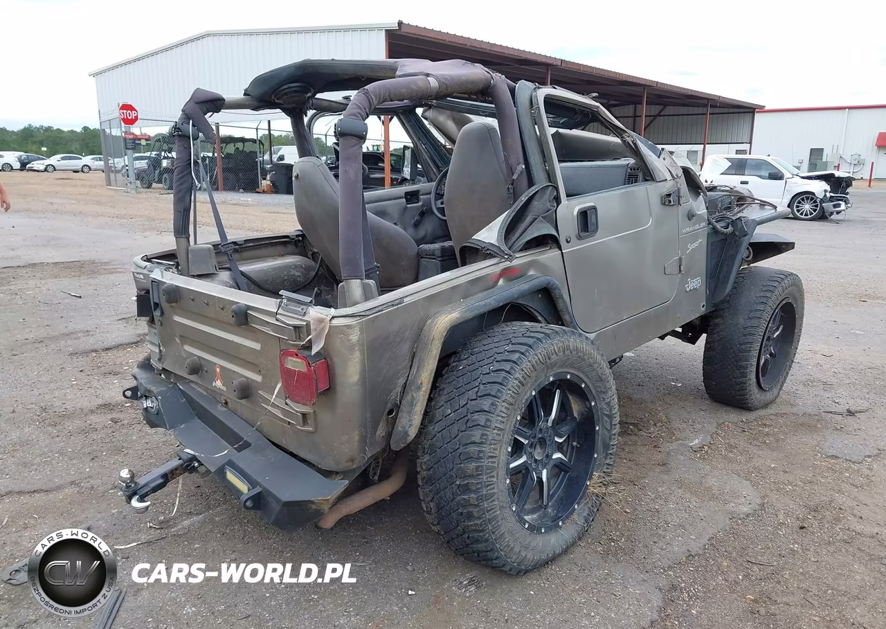 2002 Jeep Wrangler Sport VIN:1J4FA49S52P771545 - 4