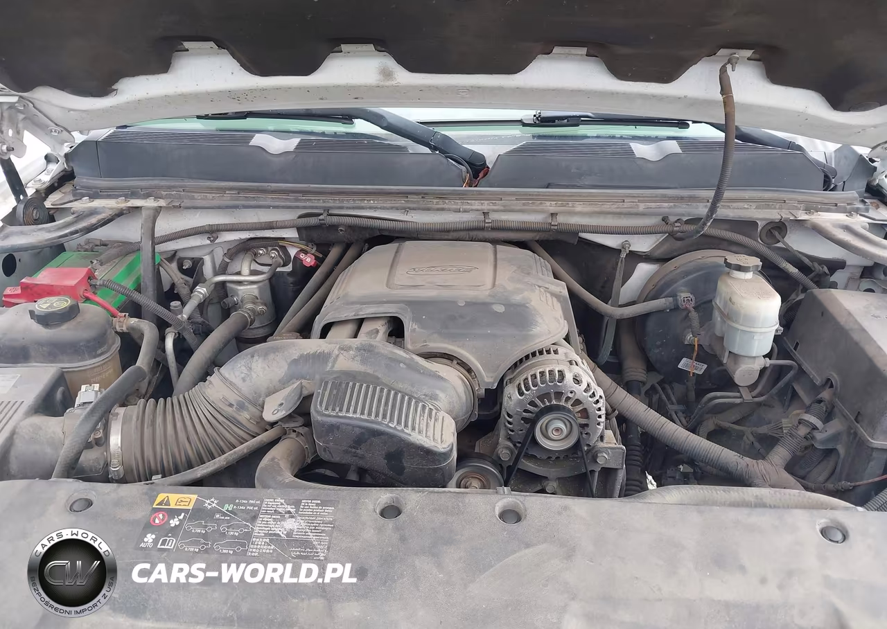 2013 Chevrolet Silverado 1500 Work Truck VIN:1GCRCPEA1DZ385644 - 10