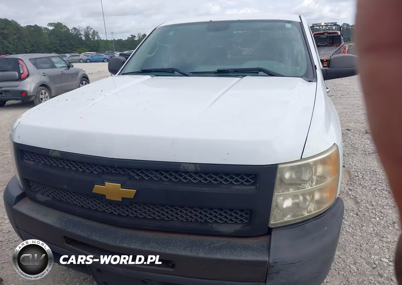 2013 Chevrolet Silverado 1500 Work Truck VIN:1GCRCPEA1DZ385644 - 12