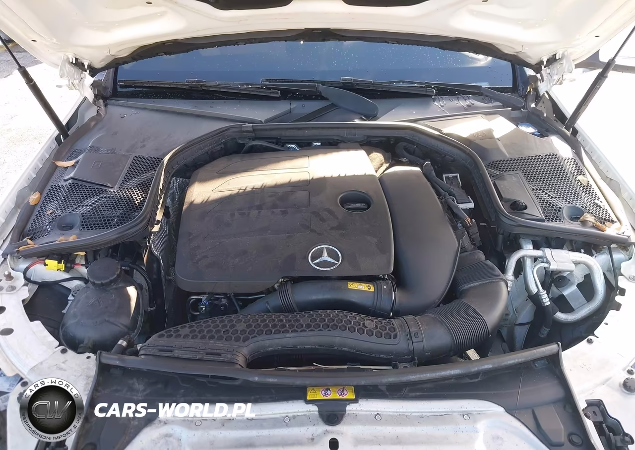 2019 Mercedes-Benz C 300 VIN:WDDWF8DB1KR516083 - 10