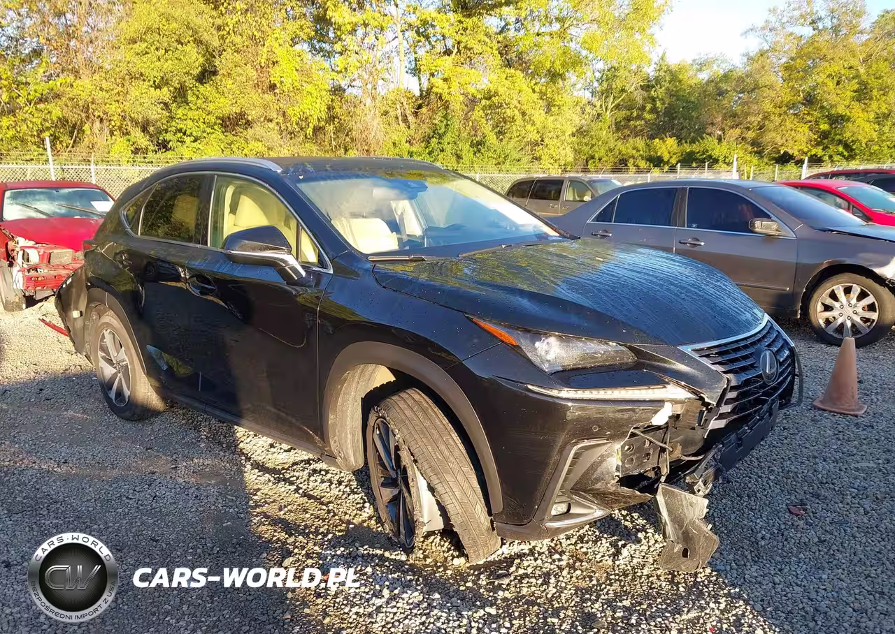 2019 Lexus Nx 300