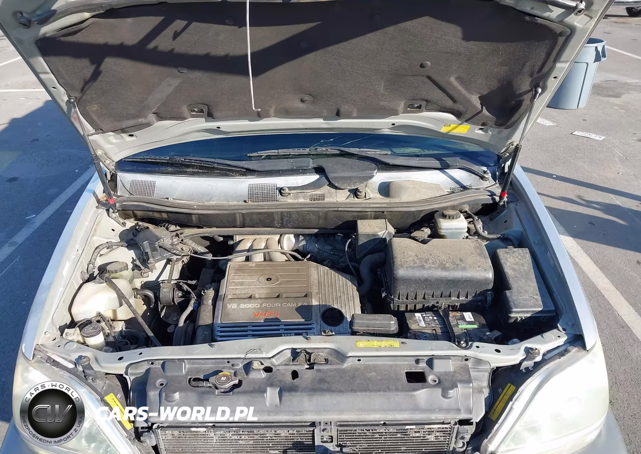 2001 Lexus Rx 300 VIN:JTJGF10U610117988 - 10