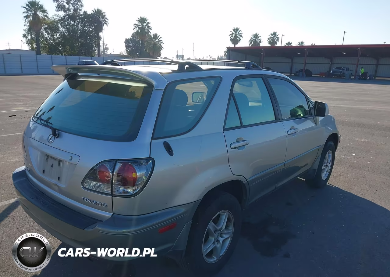 2001 Lexus Rx 300 VIN:JTJGF10U610117988 - 4
