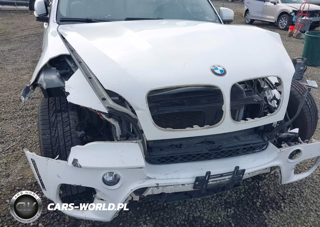2013 BMW X5 xDrive35I-xDrive35I Premium-xDrive35I Sport Activity VIN:5UXZV4C57D0B00367 - 19