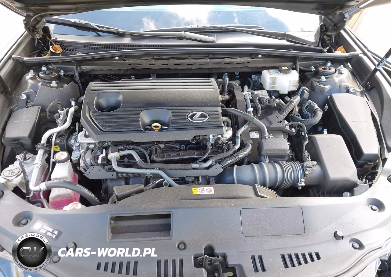 2023 Lexus Es 300H VIN:58ADA1C15PU032362 - 10