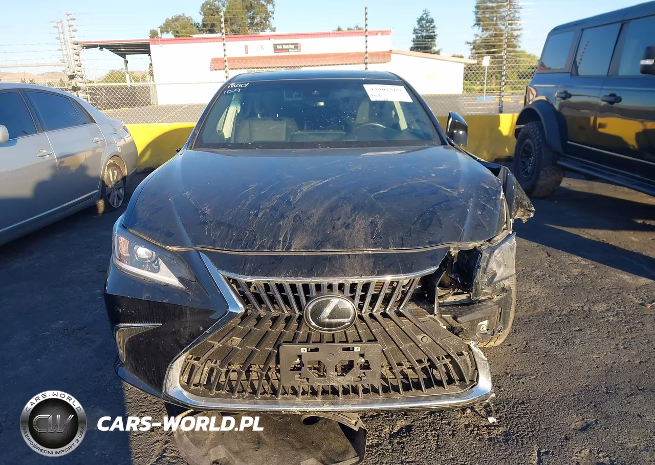 2023 Lexus Es 300H VIN:58ADA1C15PU032362 - 12