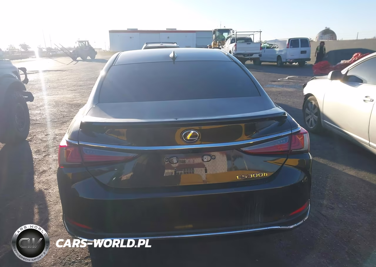 2023 Lexus Es 300H VIN:58ADA1C15PU032362 - 16