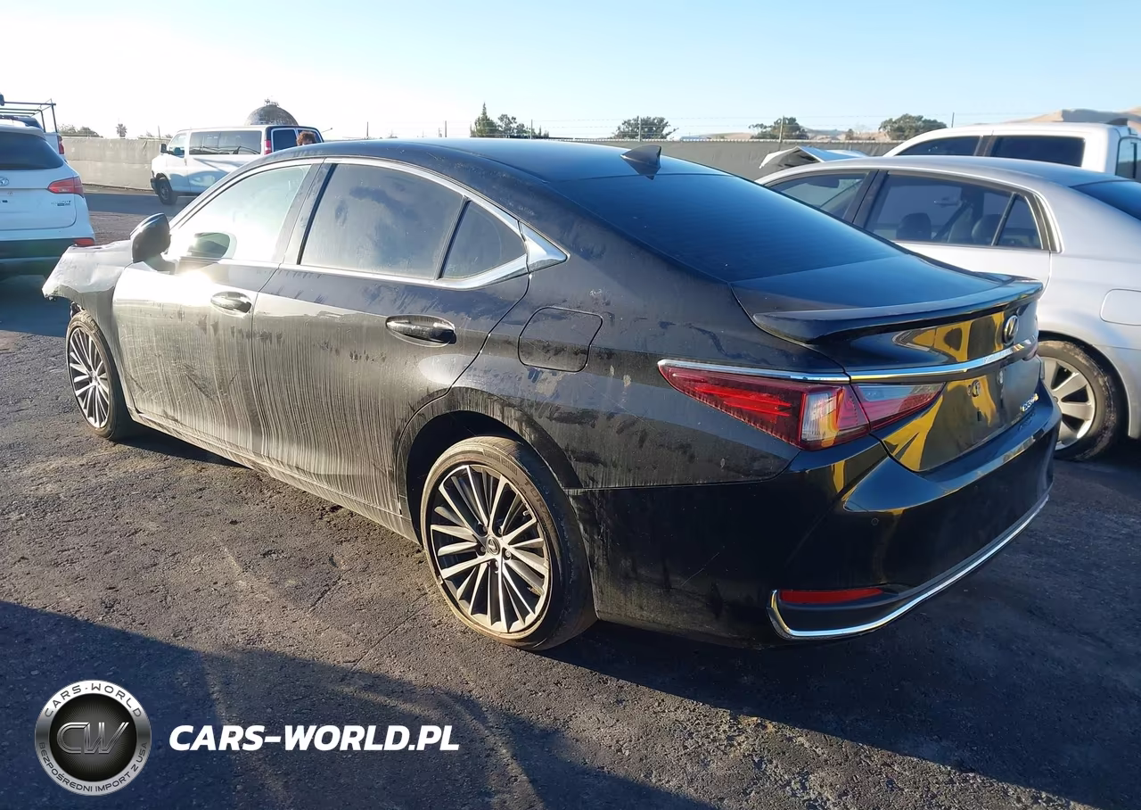 2023 Lexus Es 300H VIN:58ADA1C15PU032362 - 3