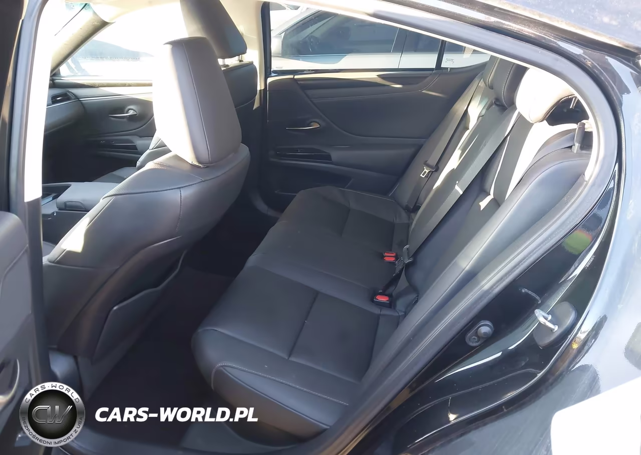 2023 Lexus Es 300H VIN:58ADA1C15PU032362 - 8